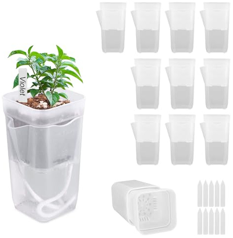 Goktvai 10pcs 2in/5cm Mini Self Watering Pots with Plant Labels and Wick, Clear Plastic Planters with Drainage Holes Water Level Indicator for Indoor Plants Alocasia Corm Propagation Sowing