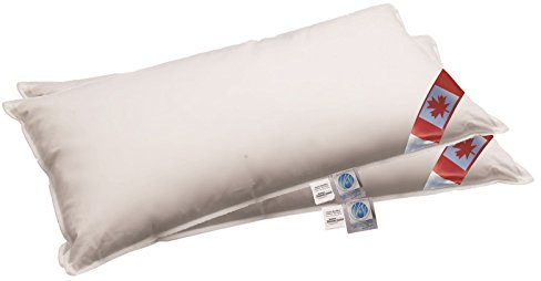 betten-traum-land NEUHEIT: 2 Premium Air-O-Cell 3-Kammer Kissen außen 100% Natur 40x80 cm