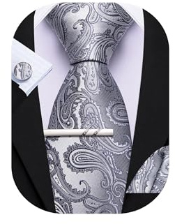 Barry.Wang Silver Grey Tie with Tie Clip for Men Paisley Silk Necktie Pocket Square Cufflinks Set Formal Wedding Party Business