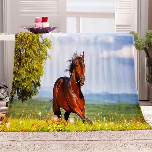 KQYLBM Cobija 130 X 150 Cm Manta De Pelo Suave Caballo Cobijas De Invierno Mantas De Lana