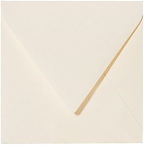 Paper24 25 Briefumschläge 15x15 cm, Kuvert 150x150 quadratisch, 120 g/m² ohne Fenster feuchtklebend für Hochzeitskarten (01 Zartcreme)