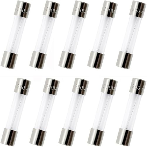 ZUPAYIPA Pack of 10 pcs F20AL Fast-Blow Fuse 20A 250V Glass Fuses 0.23 x 1.18 inch / 6 x 30 mm (20amp) (F20A)