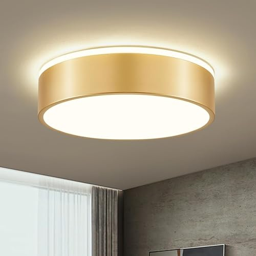 Vikaey Moderne Deckenlampe,LED Deckenleuchte Gold Metall,4000K,24W Schlafzimmerleuchte Für Wohnzimmer,Küche,Bad,Korridor,Esszimmer,Lounge,Ø30 cm