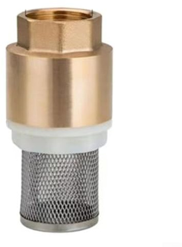 Dust Brass Foot Valve Designed Specifically for Water Pumps and Hoses (DN50)