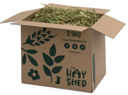 The Hay Shed Green Wheat Hay for Small Pets – Long Stem Feeding Grass Barn Dried, Dust Free, High Fibre, Natural Green Stem Feeding Hay for Digestion, Teeth - Rabbits, Guinea Pigs, Chinchillas - 5kg