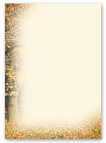 Motivpapier HERBSTRAHMEN Jahreszeiten - Herbst Herbstmotiv - DIN A4 Format 100 Blatt - Paper-Media