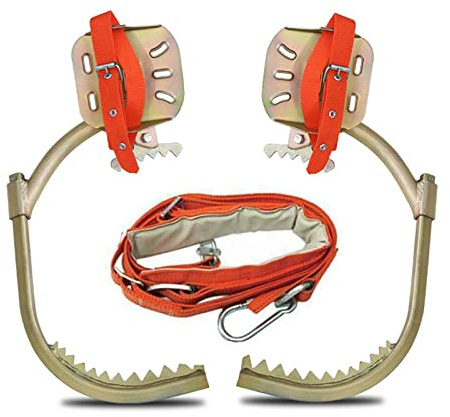 jackfru Baumpflege Spikes mit Sicherheitsgurt, Forst Steigeisen Baumsteigeisen Baumklettern Ausrüstung, Kletter Werkzeug für Elektroarbeiter Indoor- und Outdoor-Sport