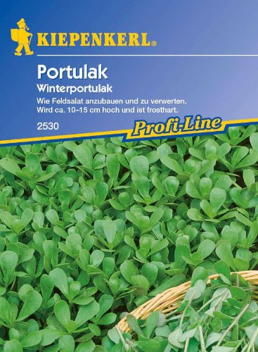 Sperli Gemüsesamen Portulak Winterportulak, grün