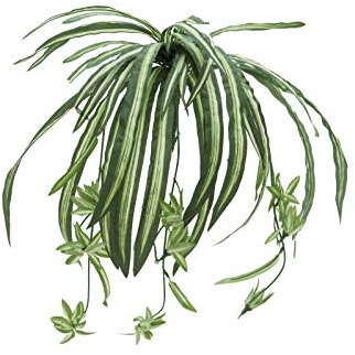 artplants.de Chlorophytum Artificiel Malou sur Piquet, Vert-Blanc, 60cm, Ø 50cm - Plante Artificielle - Fausse Plante