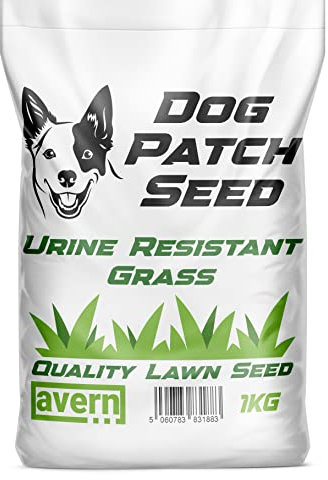 Avern Dog Patch Grass Seed 1KG for Repairing Damaged Turf, Overseeding & New lawns. Contains Urine Resistant Cultivars. Fast Growing and Hardwearing for high Usage Areas & Sports - 1KG / 60m2