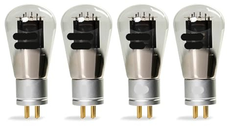 JEQGDLUI 1/2/4 Pezzi E-101D Amplificatore valvolare Audio a Tubo a Vuoto(4 PCS)