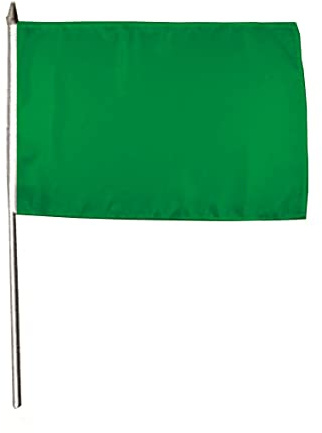U24 Flagge Fahne Stockflagge Grün 30 x 45 cm Stockfahne 3er Pack
