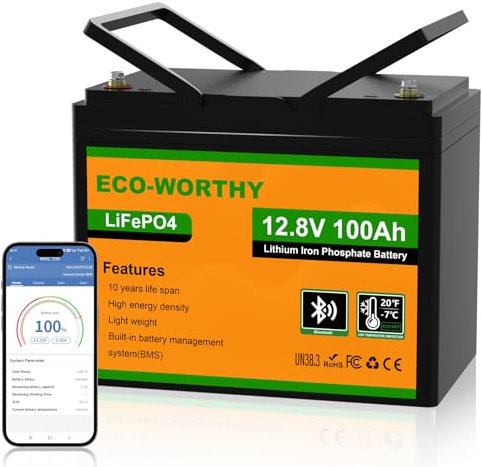ECO-WORTHY 12V 100Ah LiFePO4 Lithium Leisure Battery, 1280Wh with Bluetooth & Low Temp Protection, Group 24 for Motorhome, Caravan, Marine & Solar Power