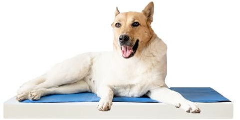 Saarschaum® Örthopädisches Hundebett Matratze RG 3555 Komfortschaum (XL)
