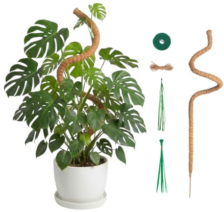 Tolesum Tuteur en Fibre de Coco Pliable 120cm, Tuteur Flexible pour Monstera & Plantes Grimpantes d'Intérieur, Bâton de Mousse avec Corde de Chanvre et Serre-Câbles pour Pothos, Philodendron