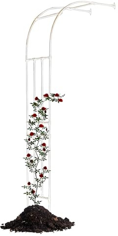 Arche de jardin en métal robuste pour plantes grimpantes – Demi-côté 240 cm de haut 120–300 cm de large, idéal pour fleurs, vignes, légumes et fruits (blanc)