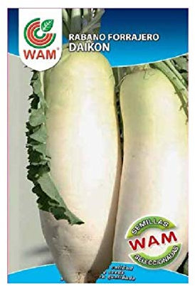 Semillas WAM de Rábano Forrajero DAIKON - Caja de 250 gr