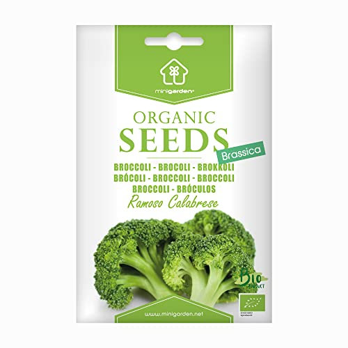 Broccoli Ramoso Calabrese, Semi Biologici Certificati Minigarden, include tra 350 e 300 semi