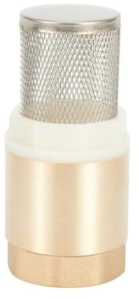 Clapet anti-retour à bande métallique Clapet anti-retour à filetage interne en laiton DN25, panier d'aspiration acier inoxydable avec filtre for pompe eau