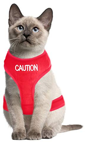 Dexil Katzengeschirr, farbkodiert, Warnweste, gepolstert und wasserfest, warnt andere im Voraus vor Ihrer Katze