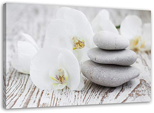 Feeby. Wandbild - 1 Teilig - 40x50 cm, Leinwand Bild Leinwandbilder Bilder Wandbilder Kunstdruck, ZEN, ORCHIDEE, WEIß, GRAU