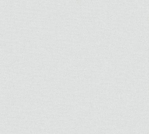 A.S. Création Unitapete Hellgrau Terra 390397 - Vliestapete Einfarbig - 10,05 m x 0,53 m Made in Germany