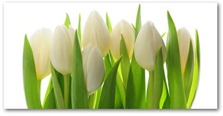 Tulup Picture Wall Art 100x50cm Image Printed Acryl Decorative Wall Picture Plastic/Acrylic Glass for Kitchen & Living Room tulips