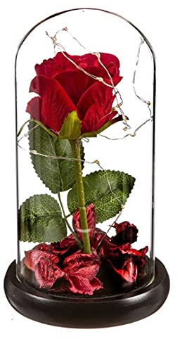 D-COVER Dôme en Verre à LED avec Rose Rouge – Rose sous Cloche avec Socle Noir – Idée Cadeau – Originale – Qualité – Objet de décoration avec LED à Offrir pour Mariage, Noce, fête et Autre