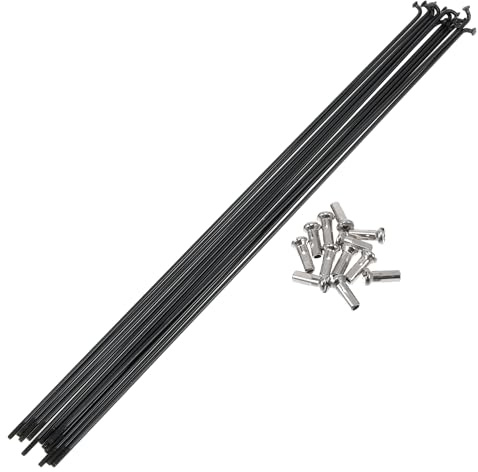 A ABSOPRO 14G Raggi per Bicicletta 12 Pezzi con 12 Pezzi Nipplo Raggi Ruota Bici in Acciaio Inossidabile 304 Nero