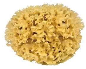 Croll & Denecke M080 Naturschwamm aus dem mittelmeer, Mediumqualität, Größe 8 cm, 1er Pack