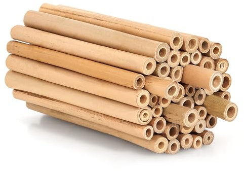Beesi Bambusröhrchen für Insektenhotel 100 Stück 10cm Länge I Insektenhaus für Wildbienen I Wildbienenhotel Nisthülsen Bienenhotel I Füllmaterial Bienenkasten Insektenkasten (200 Stück, 10 cm Länge)