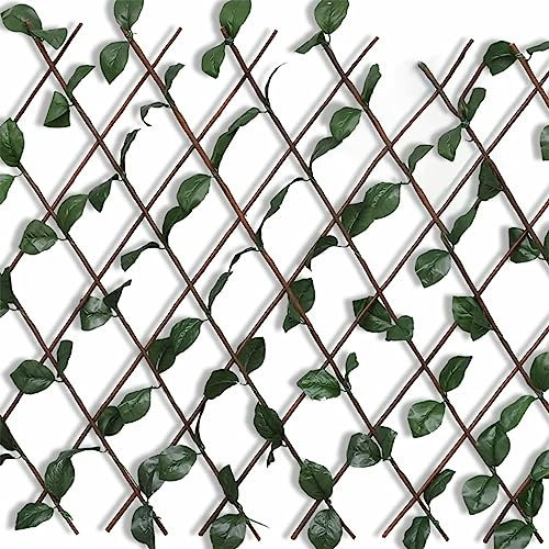 Tidyard Clôture en Treillis de Saule 5 pièce 180x90 cm, Panneau de Clôture, Décorative Protection pour Extérieur, Cour Arrière, Terrasse Style B