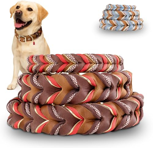 FAMBLANETIA Hundehalsband (M) Leder & Paracord geflochten | Große & kleine Hunde | Set mit Hundeleine | 3cm breit | außergewöhnlich, ausgefallen | rot braun Gold | weiches Fettleder | Tau handgemacht