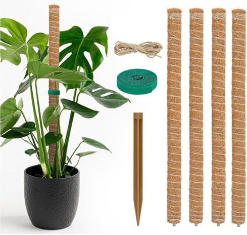 4 pièces de 40 cm Bâton de mousse Tuteur pour plantes Monstera avec 1 rouleau de serre-câbles Velcro et 2 m de corde de jute pour le nom de la plante, le temps de plantation, les plantes de maison, de