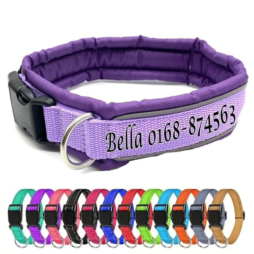 Hundehalsband personalisierbar - kleine und große Hunde (Medium) - individuell zusammenstellen - Halsband Bestickt Name + Telefonnummer - Hundehalsband breit & verstellbar (Orange)