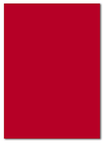 100 DIN A4 Bastelkarton - Rosenrot (Rot) - 240 g/m² - 21 x 29,7 cm - Ton-Papier Bastelkarte Fotokarton FarbenFroh