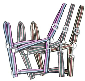 Brama West Nylonhalfter Pferdehalfter verstellbar einfach in 3er Packung - Gr. Shetty