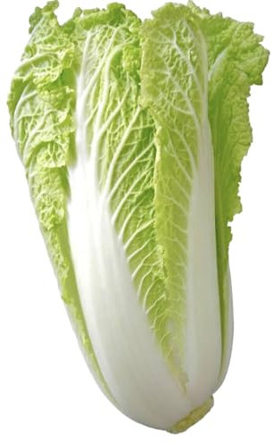 Vegetable Seeds for Planting UK Grow Your Own. Easy to Grow Indoor, Outdoor Non-GMO (Cabbage Chinese Pak Choi 1000 Seeds)