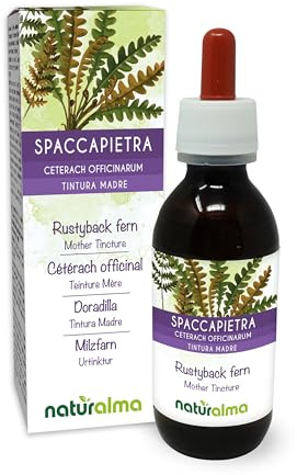 Rustyback Fern (Ceterach officinarum or Asplenium Ceterach) Leaves Alcohol-Free Mother Tincture Naturalma - Liquid Extract Drops 120 ml - Food Supplement - Vegan