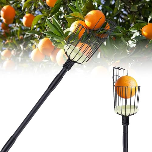 10.7FT (130 Inch) Fruit Picker Pole with Basket, Adjustable Fruits Picker Tool with Stainless Steel Handle Fruit Grabber Reach Tool for Apple Mango Pear Avocados Fruit Picking, Black