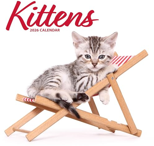 Kattungar 2026 Modern kalender