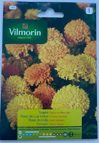 Kit 10 bustine Semi TAGETE NANO IN MISCUGLIO 193