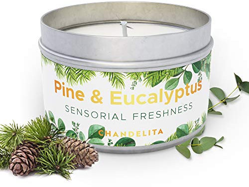 Chandelita Bougie Parfumées au Pin & Eucalyptus avec Morceaux & Cire de Soja pour Relaxation & Bien-être Général – Bougie Parfumée Artisanale – Bougies Parfumée Nature