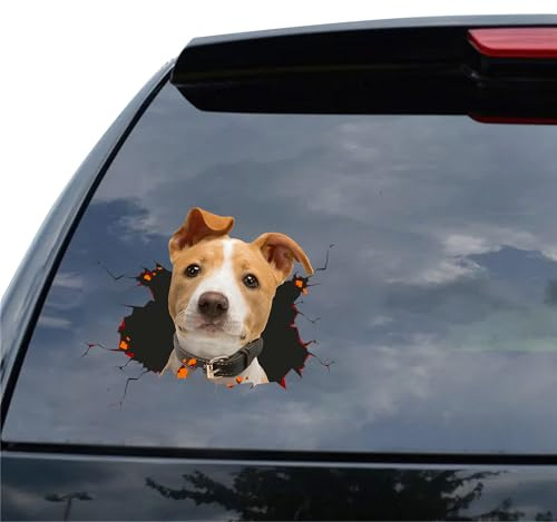 Gestalten Sie Ihre Eigenen Autoaufkleber, Individuelle Vinyl-Autofensteraufkleber, Personalisierte Hunde Katzen Haustiere Realistische Aufkleber für - Lichtbeständig und Wetterfest - 7 Größen