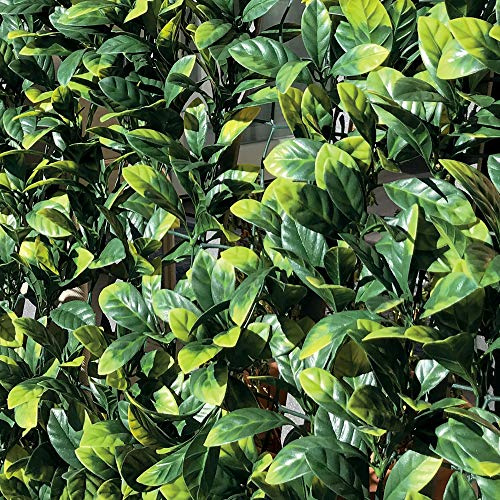 TENAX Divy 3D Plus Laurus 1,00x3 m Grün, Synthetische Hecke aus Lorbeerblättern auf Kunststoffgitter, Abschirmung von Gärten, Balkonen und Terrassen