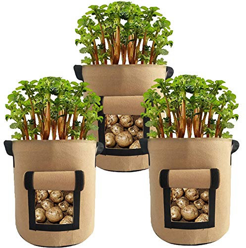3 Stück Kartoffel Pflanzbeutel, Pflanzen Tasche mit Sichtfenster und Griffen Pflanzsack für Kartoffeln, Karotten, Tomaten (3 Stück 10 Gallonen,Kamel)