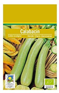 Semillas de Calabacín Sobre de Semillas Variedad Calabacín Genovés Fácil Cultivo