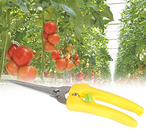 kein Rost, Langlebig, Einfach, Gartenschere, Praktische Pflanzenschere, Ergonomisch Geformte Pflanzenschere Zum Beschneiden von Bonsai