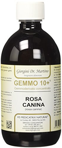 Dr. Giorgini Integratore Alimentare, Rosa Canina Gemmoderivato Concentrato Liquido Analcoolico - 500 ml