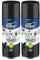 Dulux Valentine Peinture Intérieure et Extérieure Aérosol Color Touch - Satin Noir 400 ml - Lot de 2